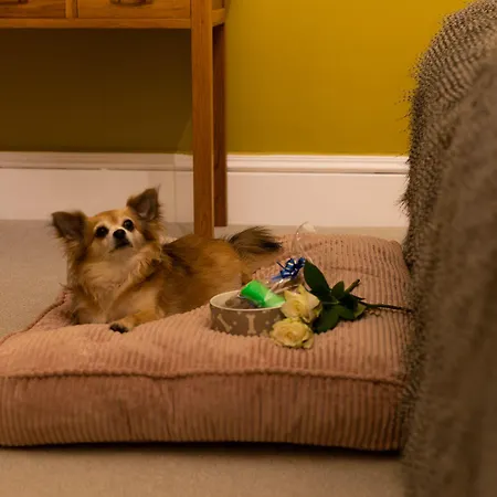 Gasthof Seasons Filey