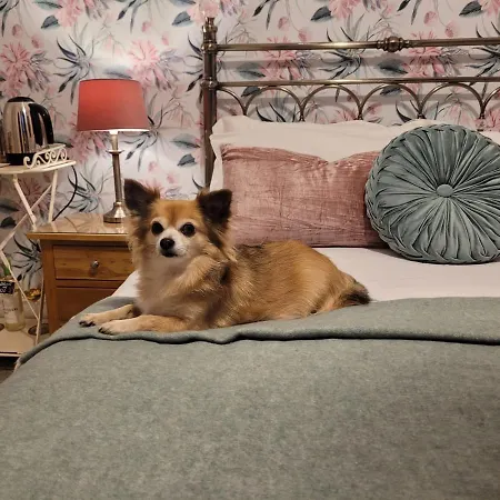 Seasons בית הארחה 5*