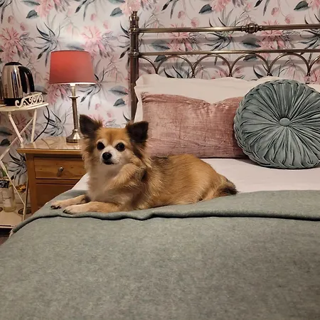 בית הארחה Seasons פילי