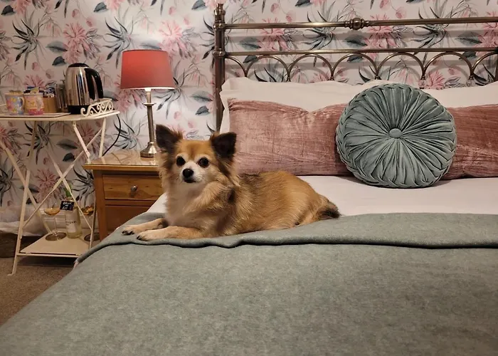 Seasons 招待所 5*