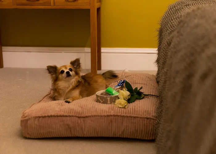 招待所 Seasons 法利